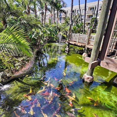 Charming Oceanside Condo With Beach And Pool Access! Extérieur photo